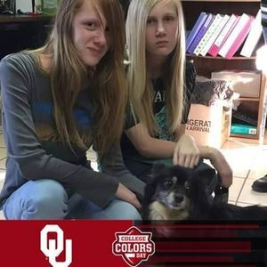 Meet your Posher, Misty